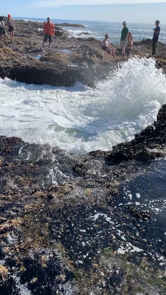 Post 9 by Hussayn F. Amiji on TikTok (video)