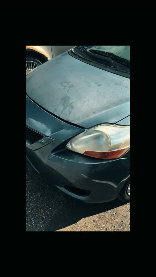 Post 10 by The Shop - Bradenton FL on TikTok (video)