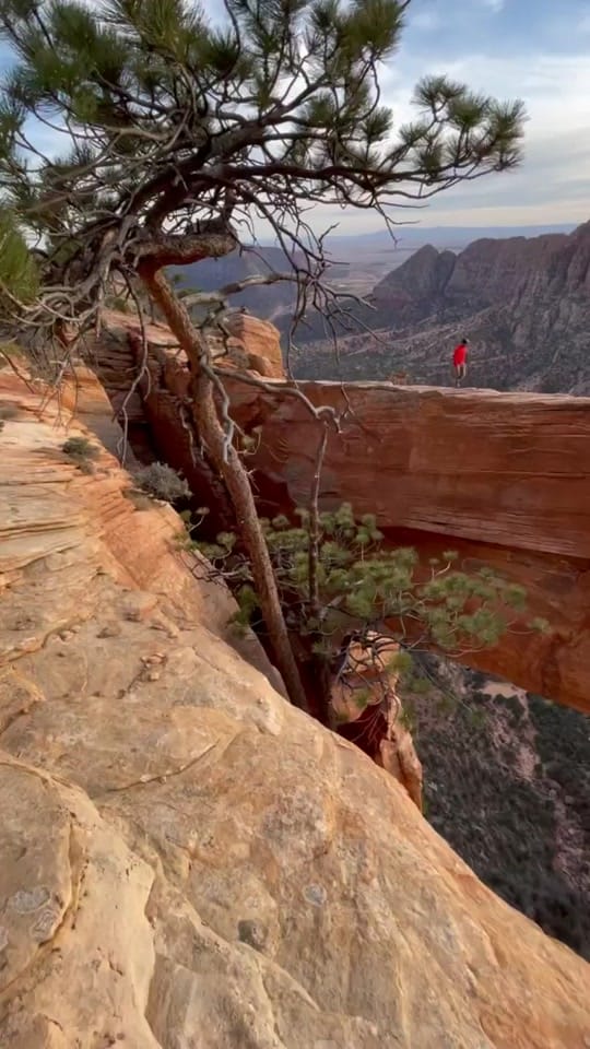 Post 5 by utahlifestyle on TikTok (video)