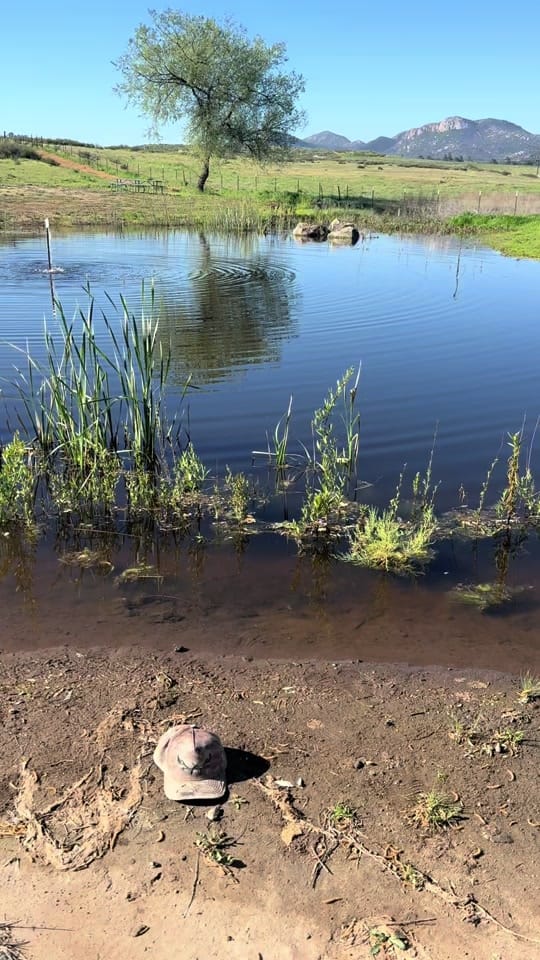 Post 2 by Webb Western on TikTok (video)
