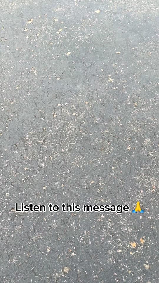 Post 6 by Webb Western on TikTok (video)