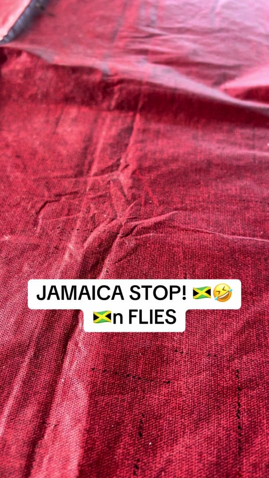 Post 6 by OneGuchii | DiTravela 🇯🇲 on TikTok (video)