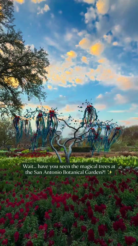 Post 3 by VisitSanAntonio on TikTok (video)