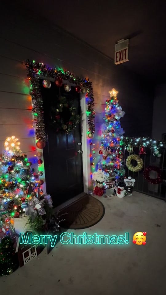 Post 2 by Denny the Pug on TikTok (video)