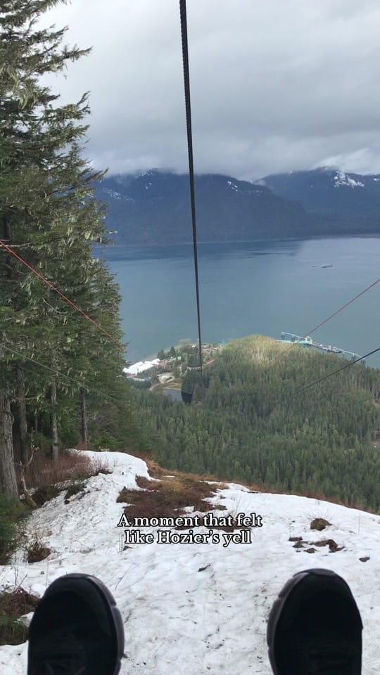 Post 6 by Denny the Pug on TikTok (video)