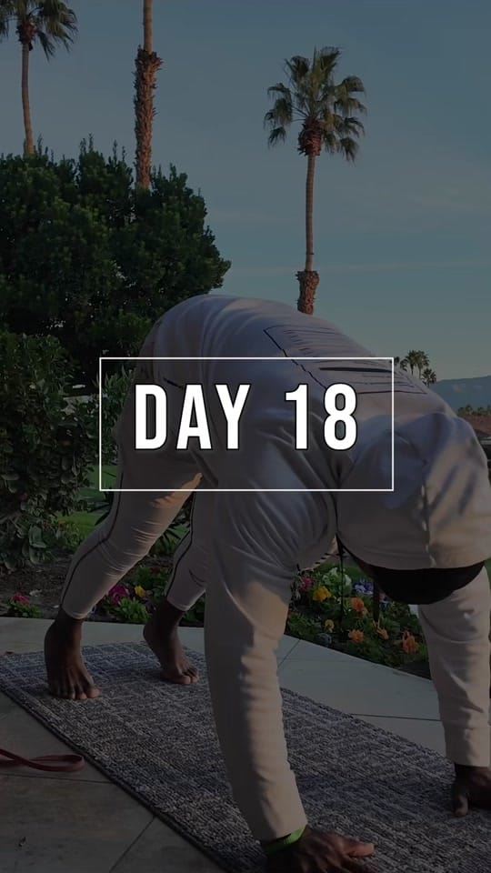 Post 7 by Robert Miller on TikTok (video)
