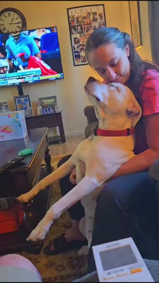 Post 5 by MELINDA on TikTok (video)