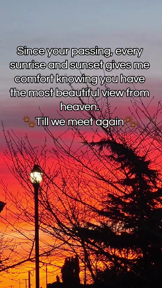 Post 2 by MELINDA on TikTok (video)