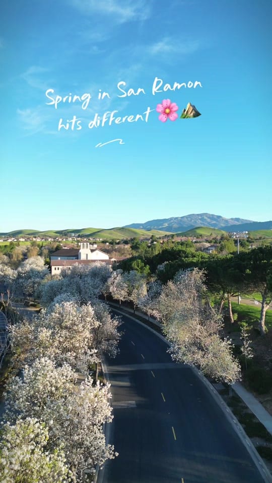 Post 2 by Traveling Nepali on TikTok (video)