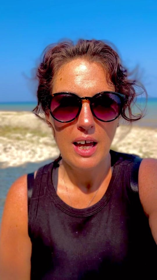 Post 2 by The Michigan Guru on TikTok (video)