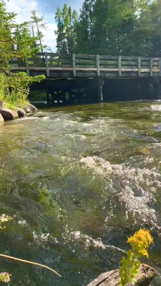Post 7 by The Michigan Guru on TikTok (video)