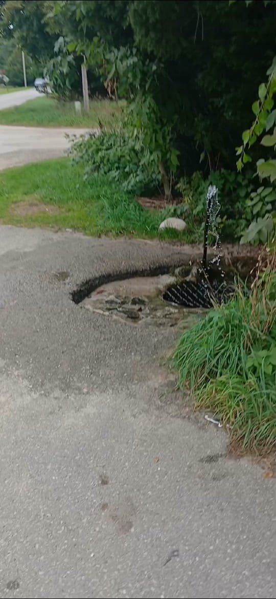 Post 10 by The Michigan Guru on TikTok (video)