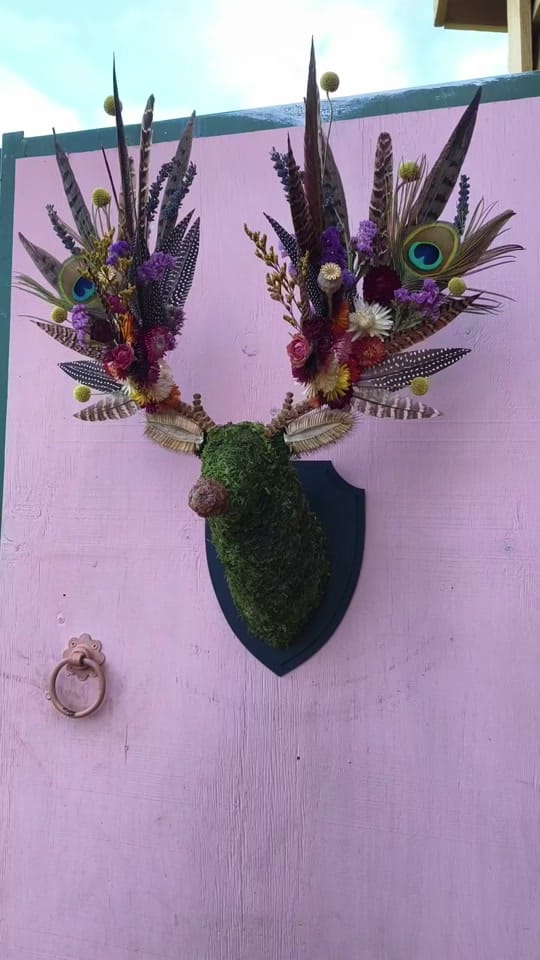 Post 7 by Cotswold Flora on TikTok (video)