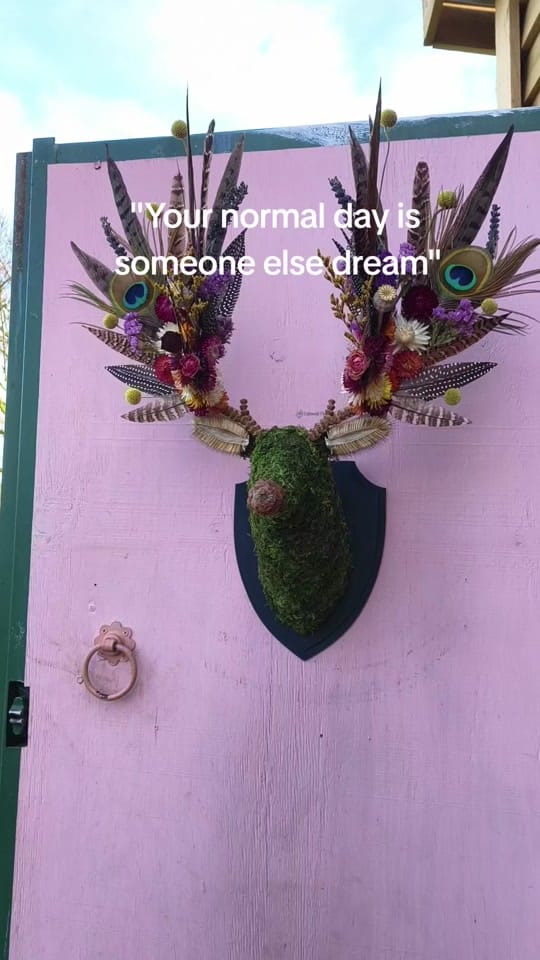 Post 1 by Cotswold Flora on TikTok (video)
