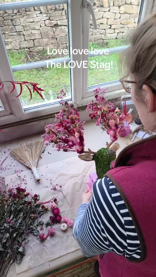 Post 3 by Cotswold Flora on TikTok (video)