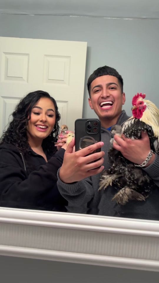 Post 2 by Nero & Erika ♥️ on TikTok (video)