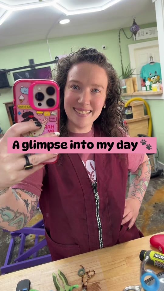 Post 1 by Danielle | Pet Stylist on TikTok (video)