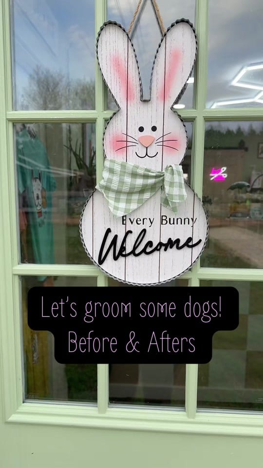 Post 2 by Danielle | Pet Stylist on TikTok (video)