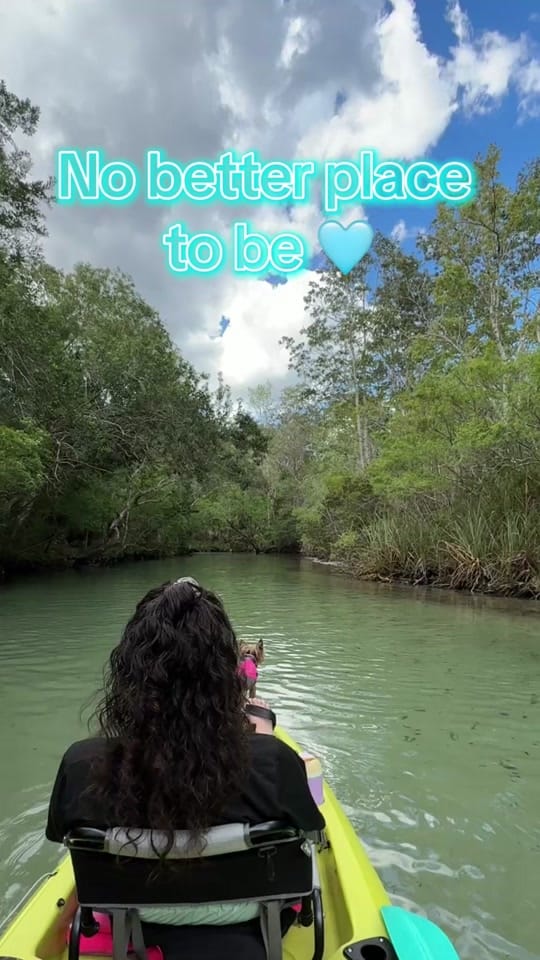 Post 3 by Danielle | Pet Stylist on TikTok (video)