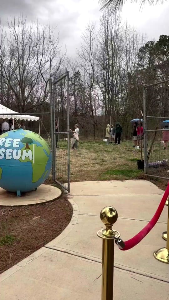 Post 1 by TheAmericanChestnutFoundation on TikTok (video)