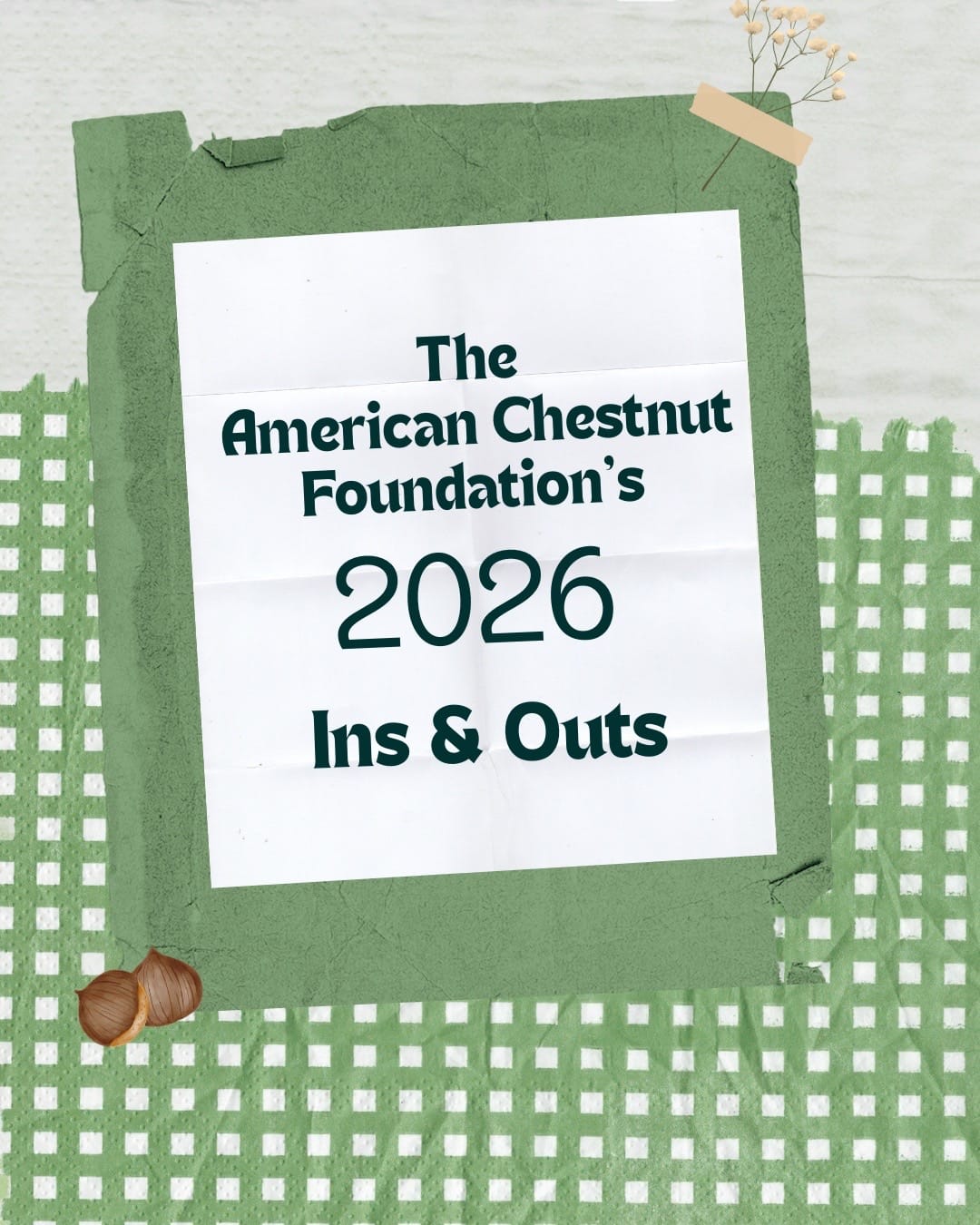 Post 7 by TheAmericanChestnutFoundation on TikTok (video)