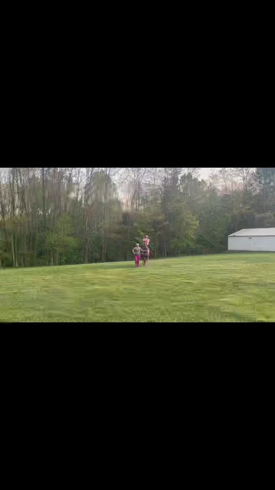 Post 10 by Abby Corbin | IN Realtor on TikTok (video)