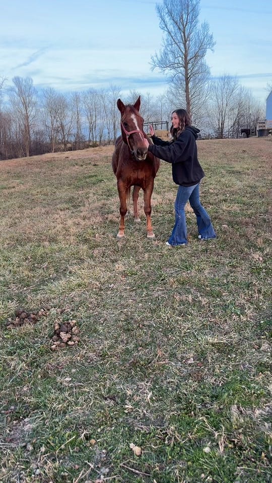 Post 8 by Abby Corbin | IN Realtor on TikTok (video)