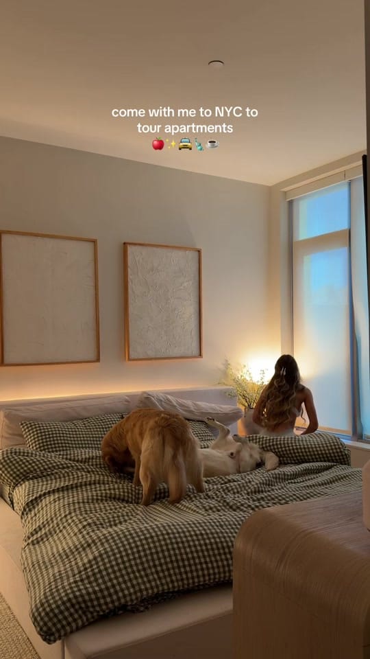 Post 8 by Kristen Schick on TikTok (video)
