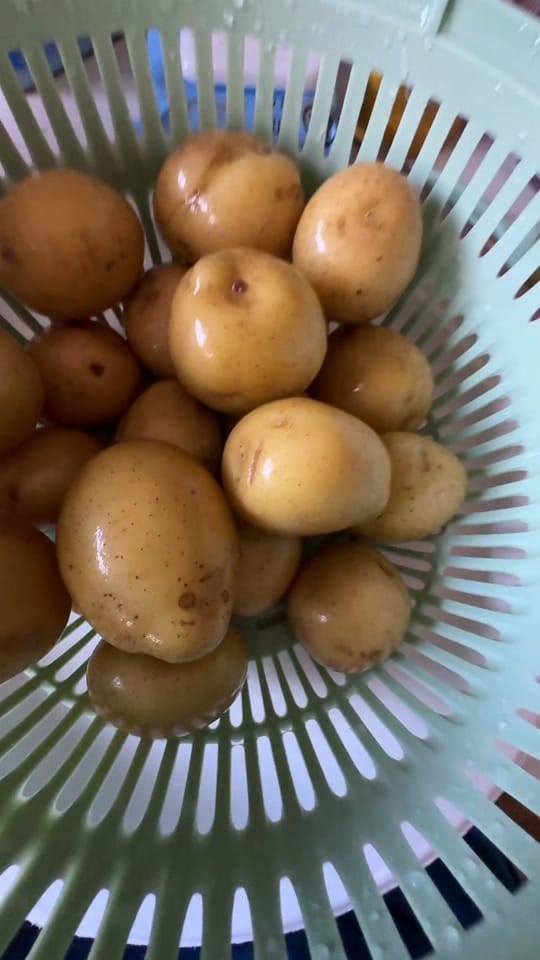 Post 5 by Kelly on TikTok (video)