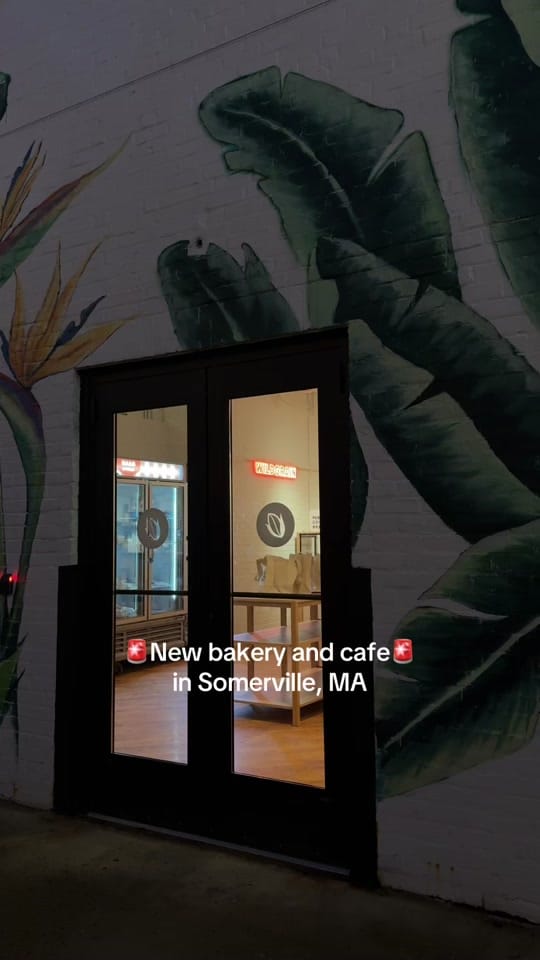 Post 7 by Miley | Boston Content Creator on TikTok (video)