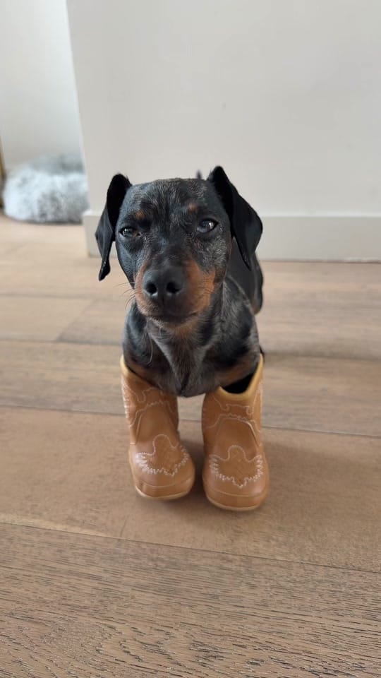 Post 10 by Charlotte May on TikTok (video)