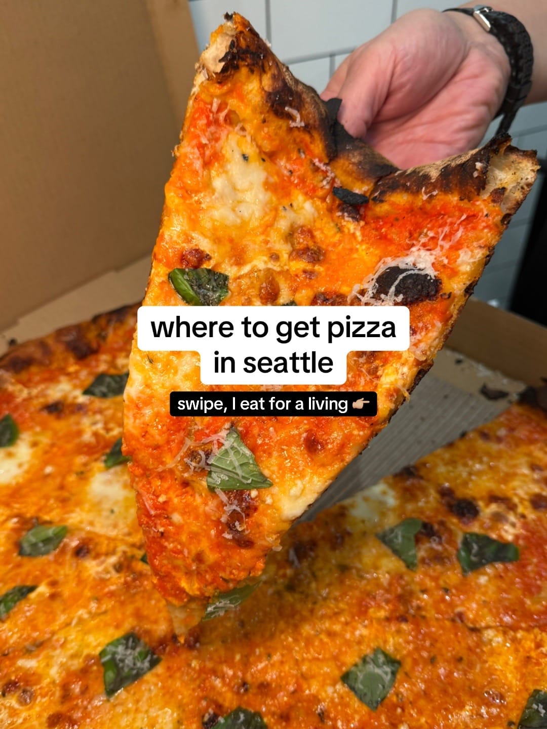 Post 5 by makena • seattle on TikTok (video)