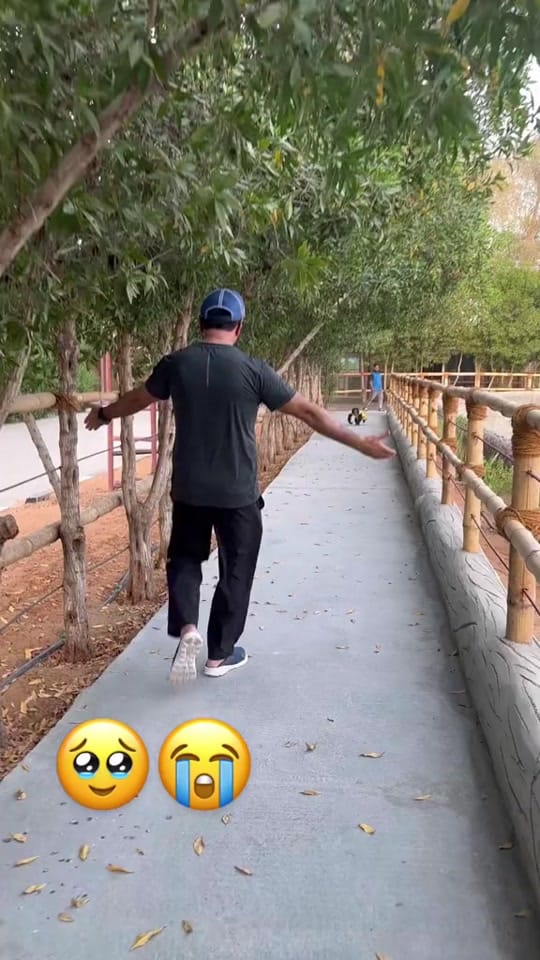 Post 8 by funny animals on TikTok (video)