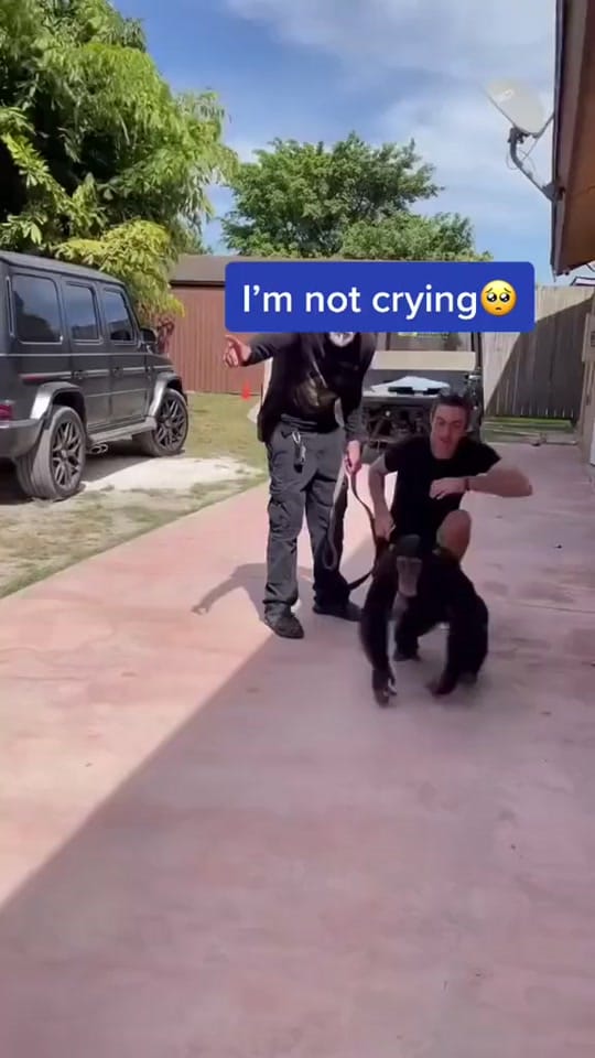 Post 10 by funny animals on TikTok (video)