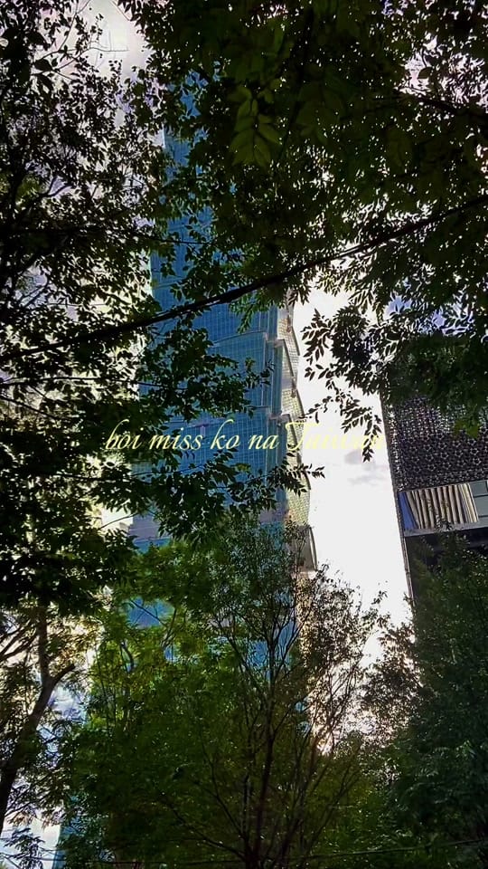 Post 8 by charlehpusa on ig 🧿 on TikTok (video)