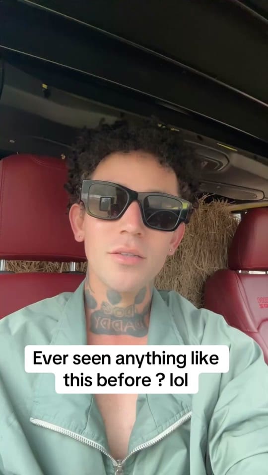 Post 10 by thedogdaddyofficial._ on TikTok (video)