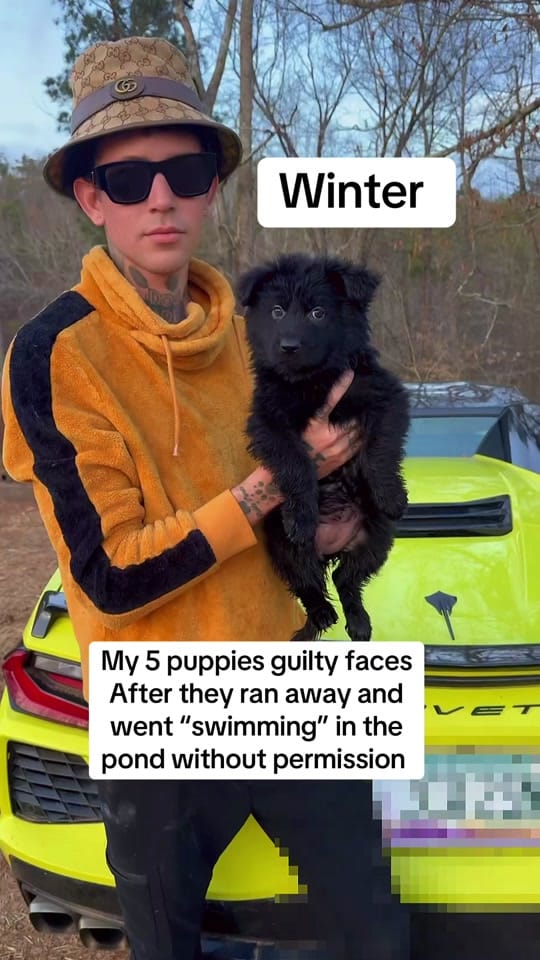 Post 7 by thedogdaddyofficial._ on TikTok (video)