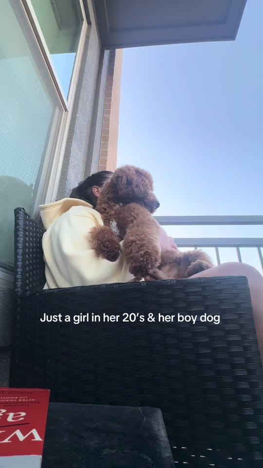 Post 3 by halle.still on TikTok (video)
