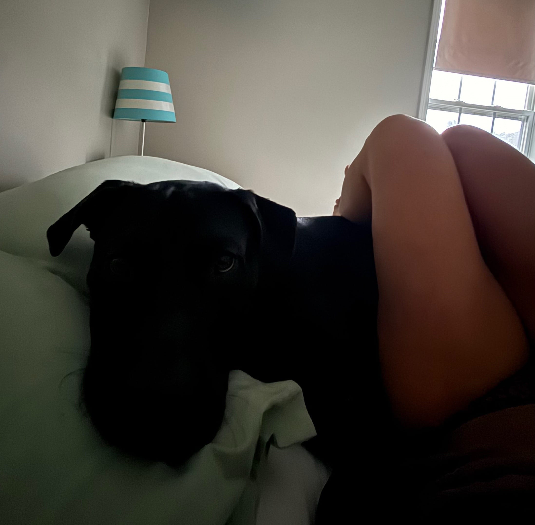 Post 6 by The_suitcase_handle on TikTok (video)