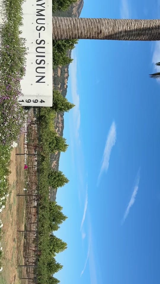 Post 2 by London on TikTok (video)