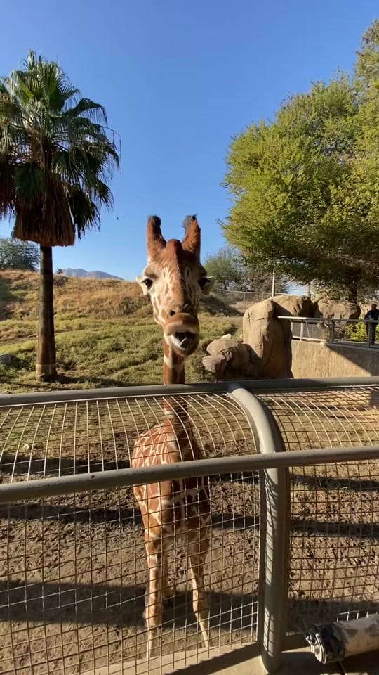 Post 4 by Alec on TikTok (video)