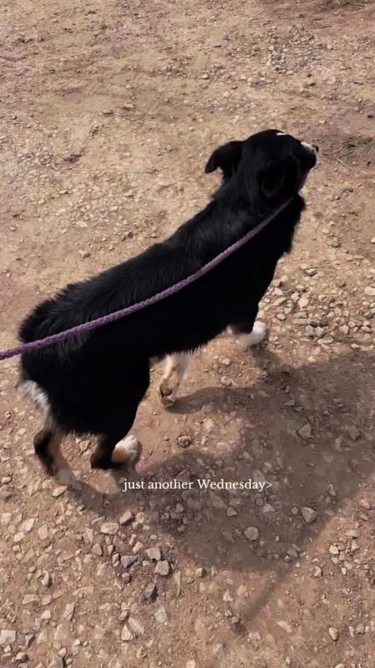 Post 3 by Jada June Totten on TikTok (video)