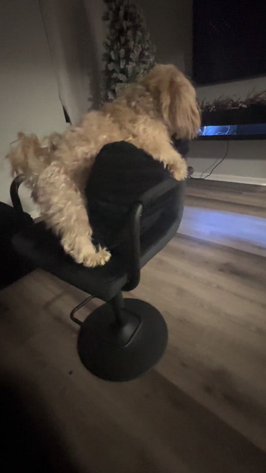 Post 9 by JohagarmoTV on TikTok (video)