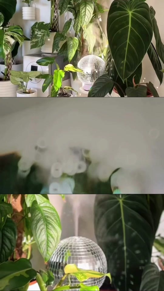 Post 1 by SCANDINORDICA EU on TikTok (video)