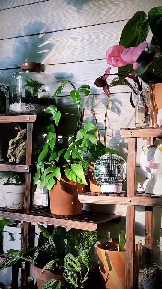 Post 3 by SCANDINORDICA EU on TikTok (video)