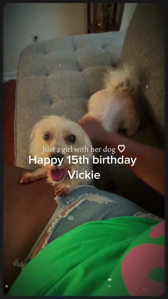 Post 4 by darkbeautyl on TikTok (video)