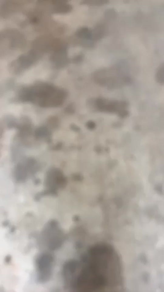 Post 10 by HID KITZ on TikTok (video)