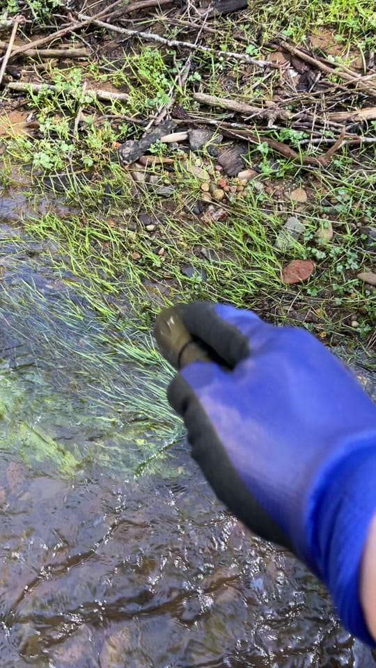 Post 3 by CarnelianChris on TikTok (video)