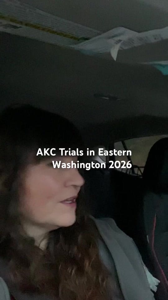Post 2 by Amy Sue on TikTok (video)
