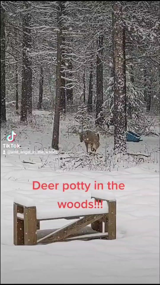 Post 10 by Amy Sue on TikTok (video)
